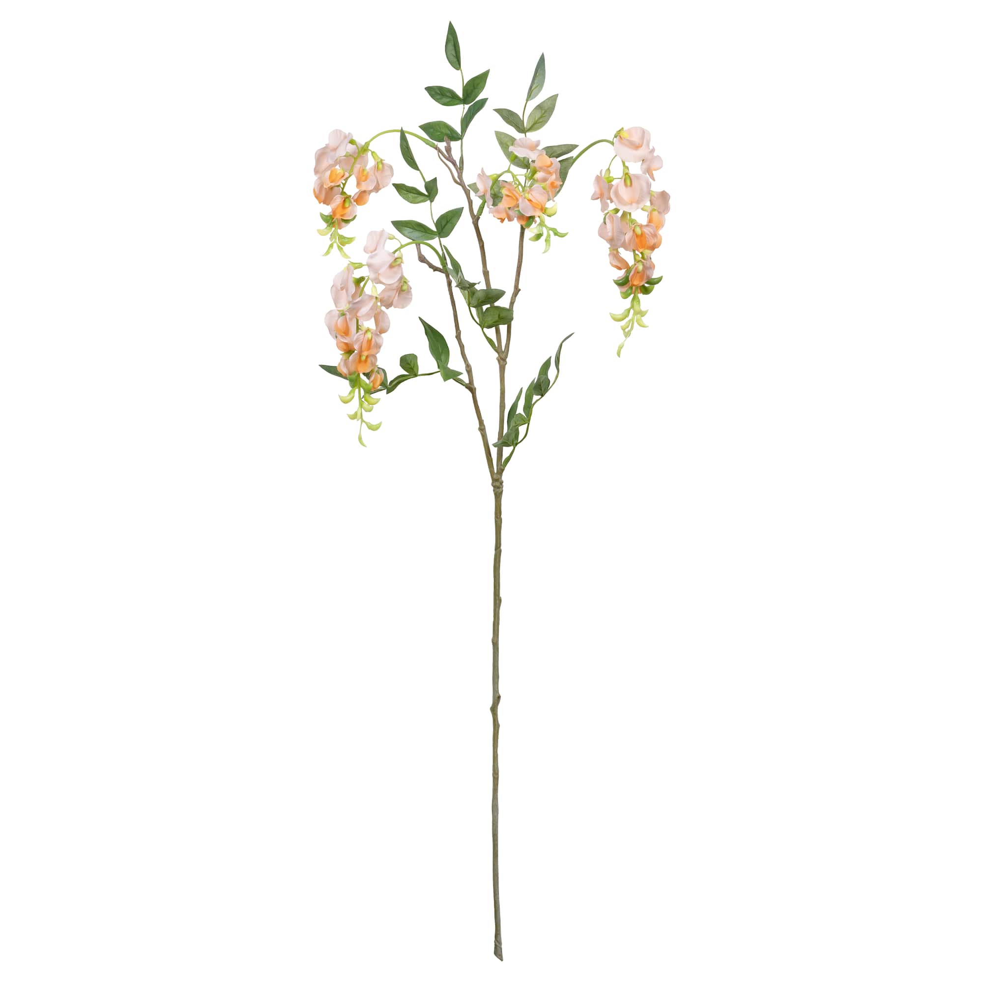 32.5" Peach Wisteria Spray by Ashland®